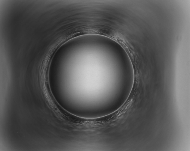 X0000089350145200706151107