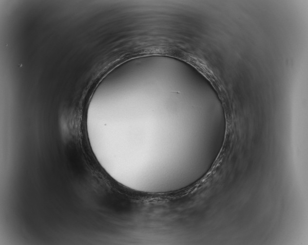 X0000089350146200706151107