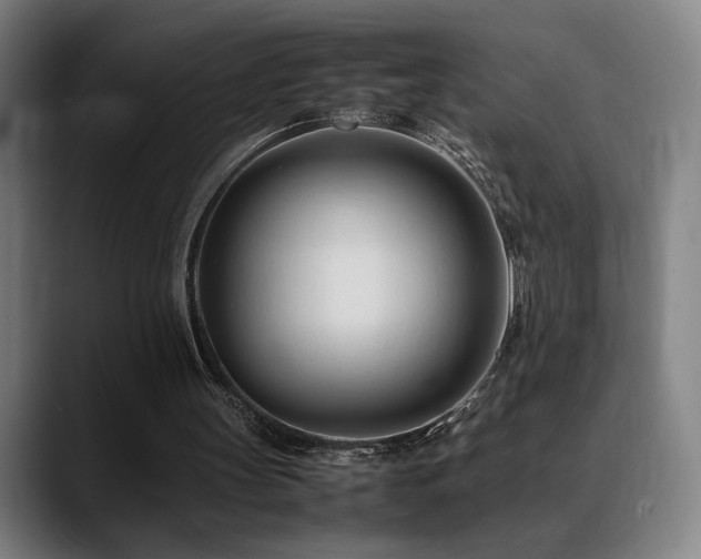 X0000089350147200706151107