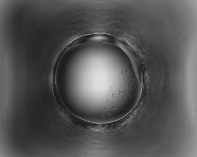 X0000089350148200706151107
