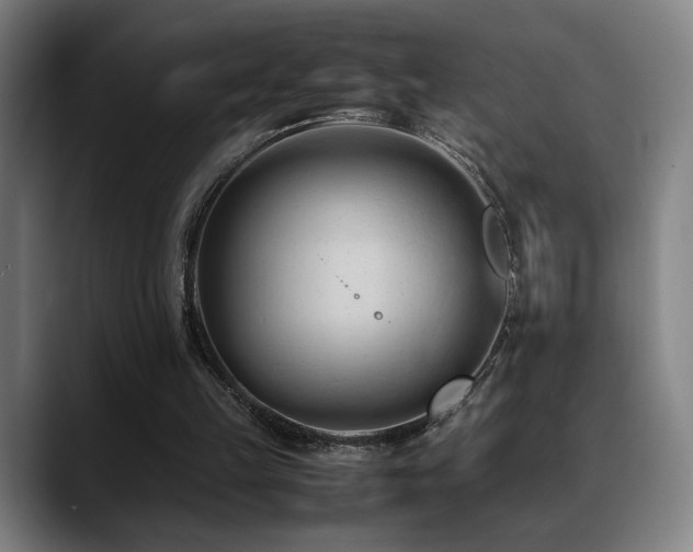 X0000089350149200706151107