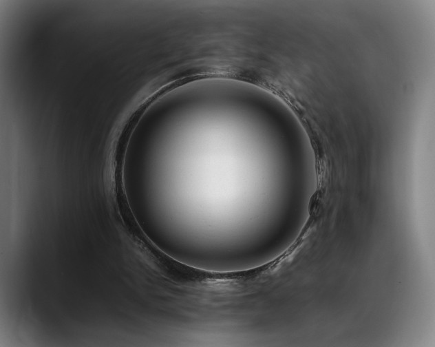 X0000089350150200706151107