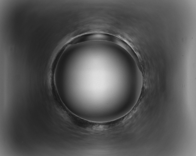 X0000089350152200706151107