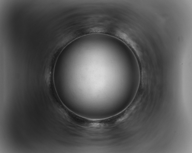 X0000089350153200706151107