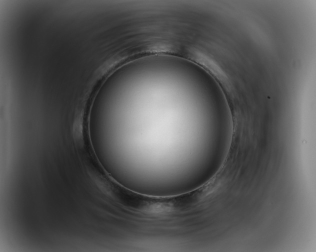 X0000089350155200706151107