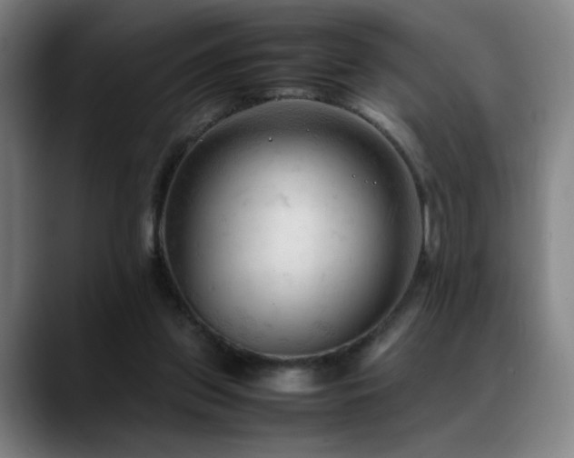 X0000089350157200706151108