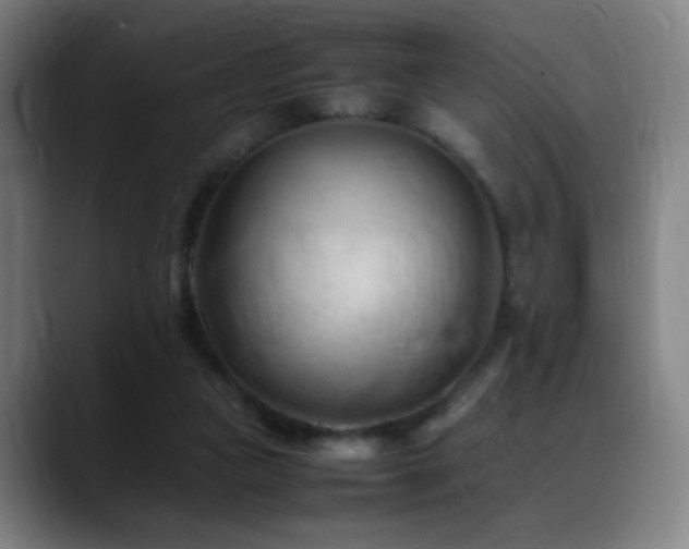 X0000089350161200706151108
