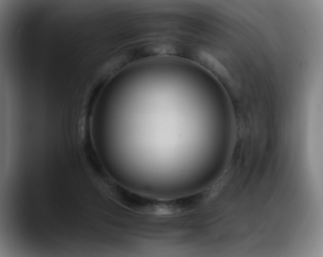 X0000089350163200706151108