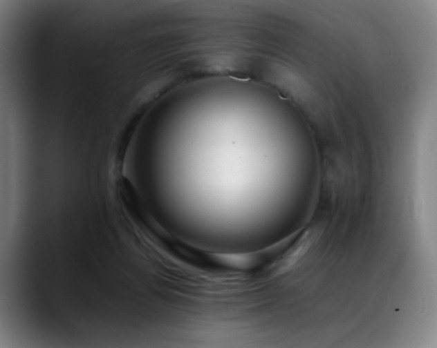 X0000089350164200706151108