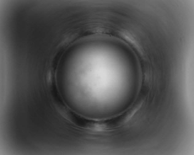 X0000089350165200706151108