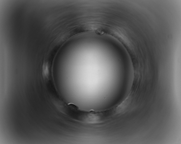 X0000089350166200706151108