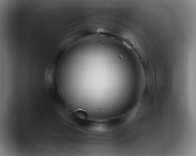 X0000089350167200706151108