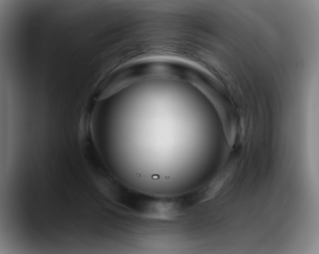 X0000089350168200706151108