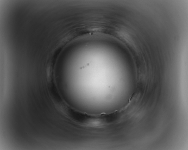 X0000089350171200706151108