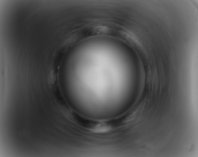 X0000089350173200706151108