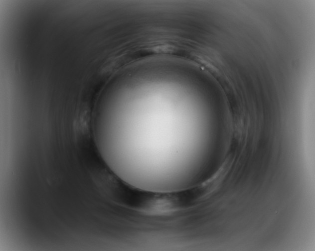 X0000089350175200706151108