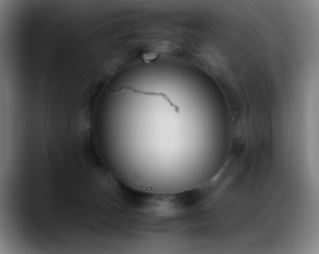 X0000089350179200706151108