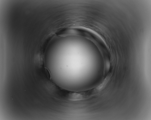 X0000089350180200706151108