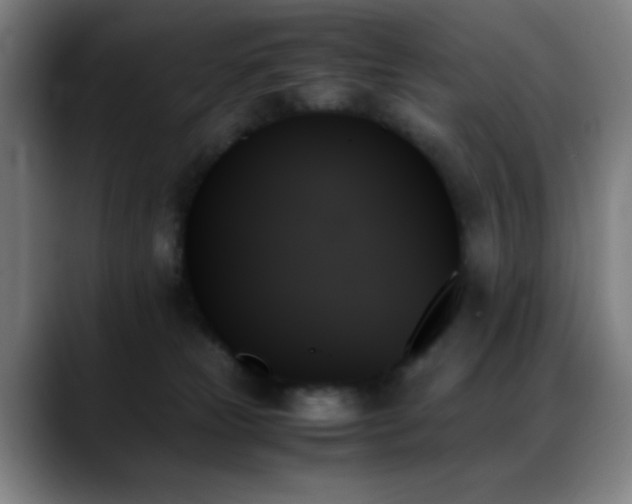 X0000089350181200706151108