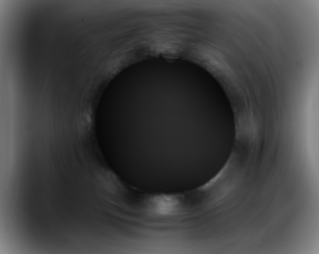 X0000089350183200706151108