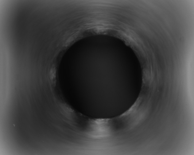 X0000089350184200706151108