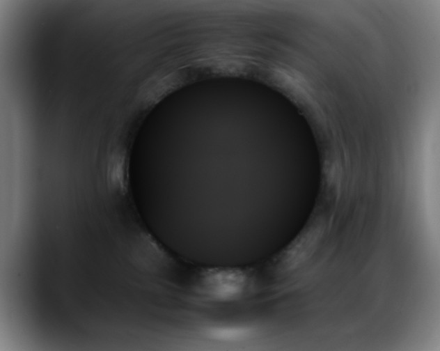 X0000089350185200706151108