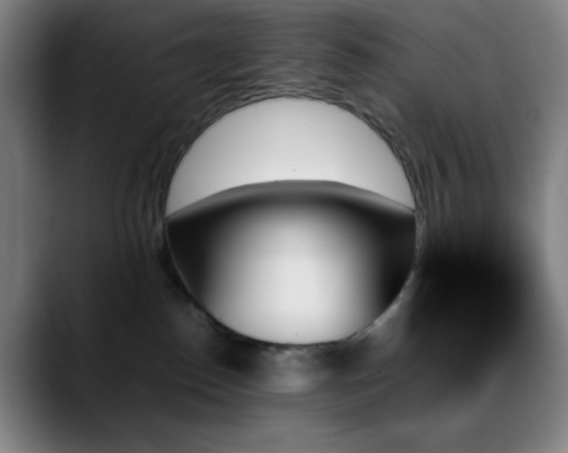 X0000089350186200706151108