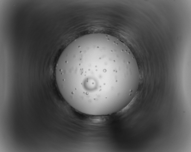 X0000089350187200706151108