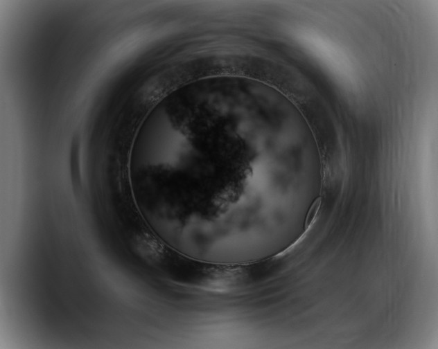 X0000089350191200706151108