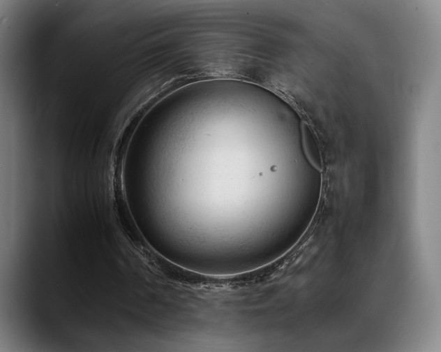 X0000089350194200706151107