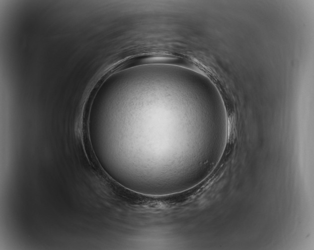 X0000089350195200706151107