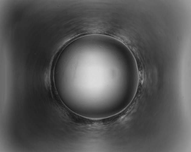 X0000089350196200706151107