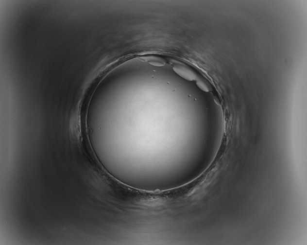 X0000089350198200706151107