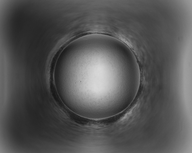 X0000089350199200706151107