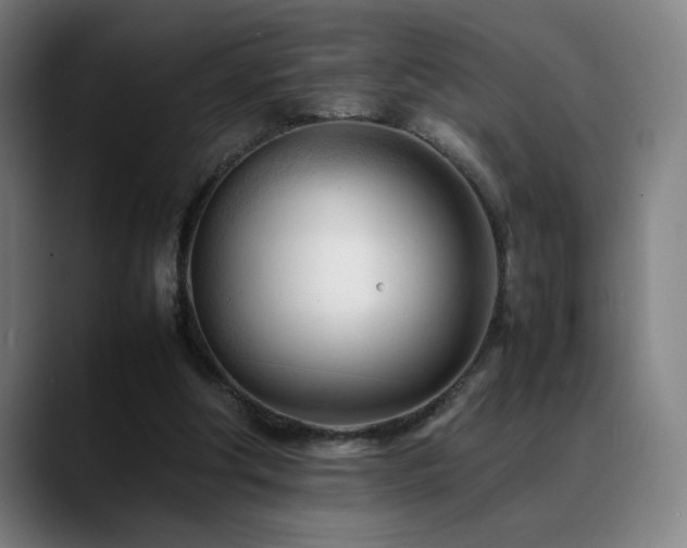 X0000089350202200706151107