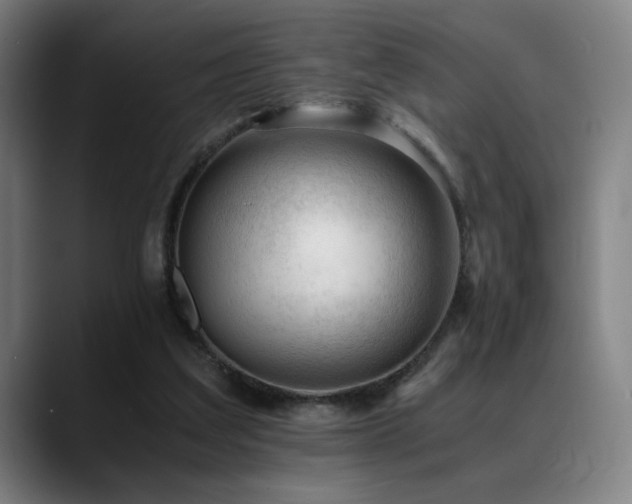 X0000089350203200706151107