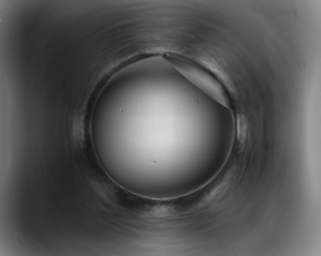 X0000089350204200706151107
