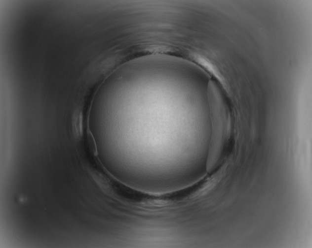 X0000089350205200706151107