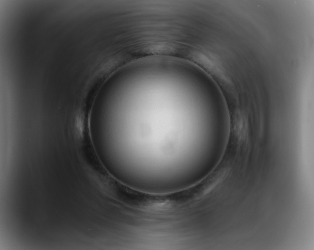 X0000089350206200706151107