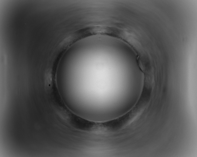 X0000089350207200706151107