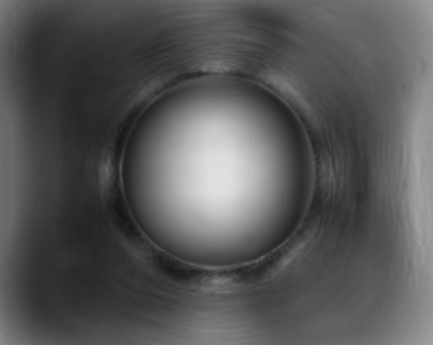 X0000089350208200706151107