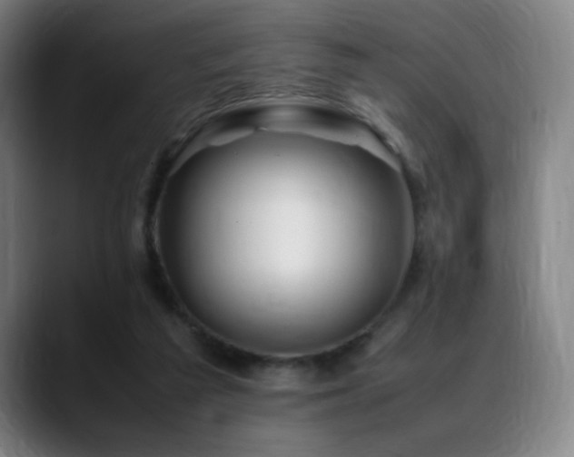 X0000089350209200706151107
