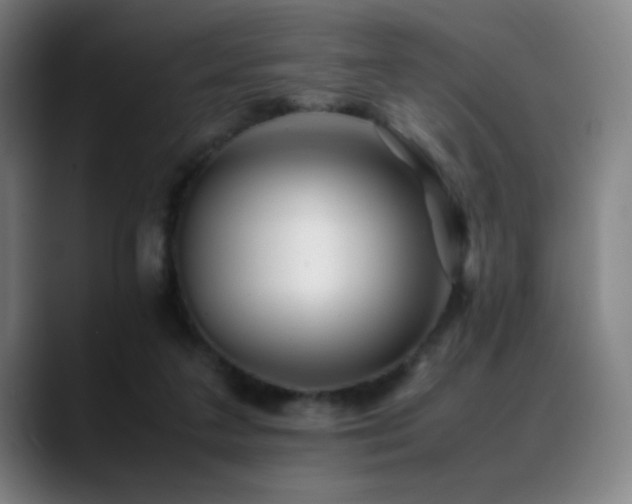 X0000089350211200706151107