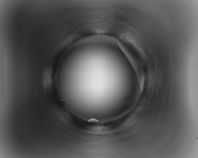 X0000089350212200706151107