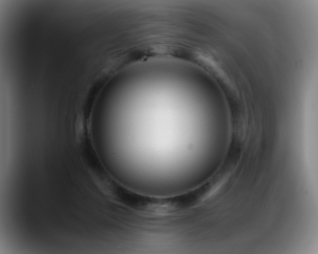 X0000089350213200706151107