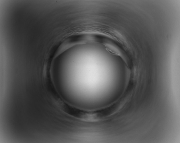 X0000089350217200706151107