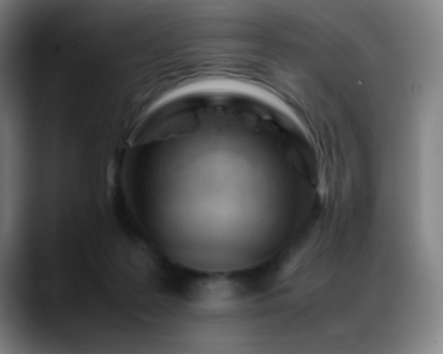 X0000089350219200706151107