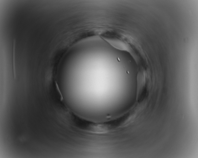 X0000089350221200706151107