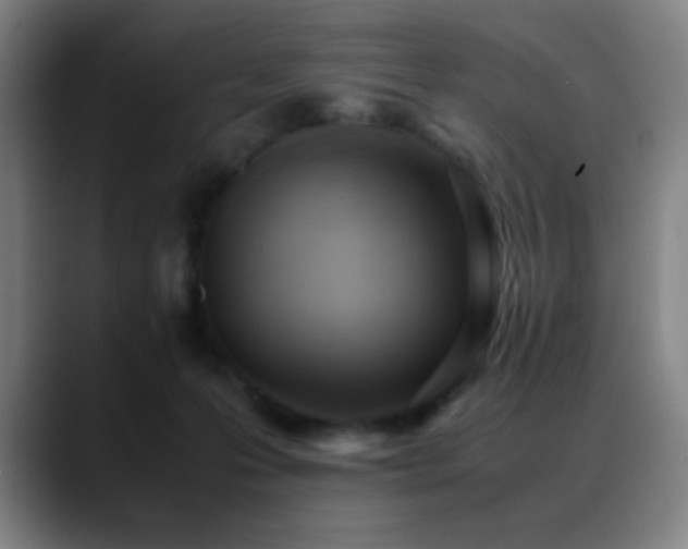 X0000089350223200706151107