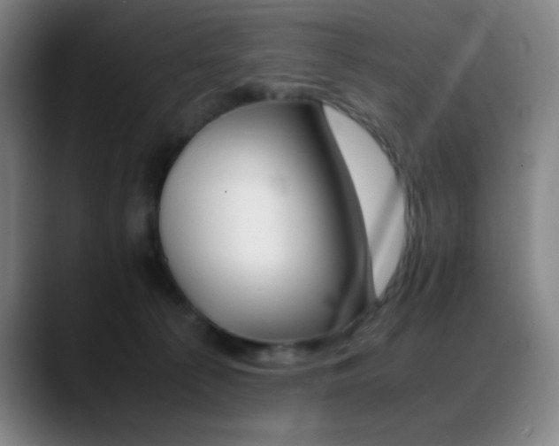 X0000089350225200706151107